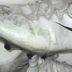 Andrew Adams New York Giants Game Worn & Signed White & Black Nike Vapor Cleats