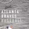 Drew Lugbauer 2021 Arizona Fall League Game Worn & Signed Atlanta Braves Baseball Nike Dri-Fit XL Shirt - Star of the League!