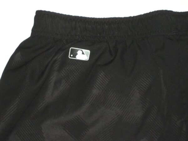 Hunter Schryver Team Issued & Signed Official Chicago White Sox Authentic Collection Nike Dri-Fit XL Shorts