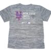 Cam Opp 2022 Team Issued & Signed LFGM! Official Gray New York Mets Baseball Nike Dri-Fit Shirt