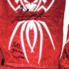 Herbert Iser 2022 Reading Fightin Phils Game Worn & Signed Red Spiderz XL Batting Gloves