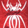 Herbert Iser 2022 Reading Fightin Phils Game Worn & Signed Red Spiderz XL Batting Gloves
