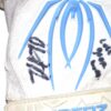 Herbert Iser 2022 Reading Fightin Phils Game Worn & Signed White & Blue Spiderz XL Batting Gloves