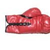 Larry Holmes & Gerry Cooney Autographed Left Everlast Boxing Glove - JSA