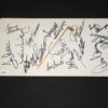 Senior PGA Golf Multi-Signed License Plate Autographed by (16) including Tony Jacklin
