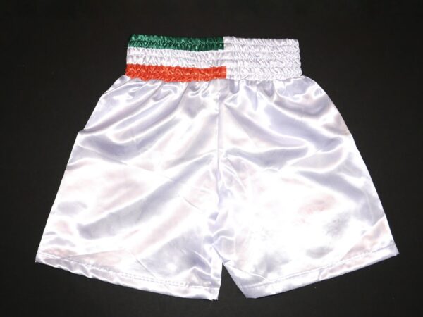 Larry Holmes & Gerry Cooney Autographed Custom Boxing Trunks - JSA Witness COA6