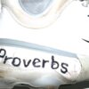 Coleman Crow Rocket City Trash Pandas Game Worn & Signed Nike Alpha Huarache Baseball Cleats