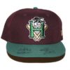 Indigo Diaz 2024 Game Worn & Signed Official Hudson Valley Renegades Retro Home Legacy New Era 59FIFTY Hat