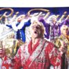 Wrestling Hall of Famer Ric Flair Signed Autographed WWE 8 x 10 Photo - JSA Witnessed