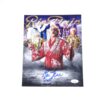 Wrestling Hall of Famer Ric Flair Signed Autographed WWE 8 x 10 Photo - JSA Witnessed