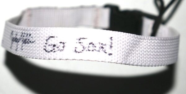 Zach Muckenhirn Birmingham Barons Team Issued & Signed Go Sox! Laundry Loop
