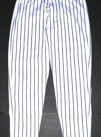 Indigo Diaz 2025 Somerset Patriots Game Worn & Signed Official Pinstripe OT Sports Pants