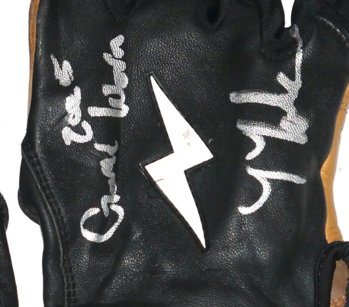 Tyler Tolve Rome Emperors Game Worn & Signed Bruce Bolt Batting Gloves