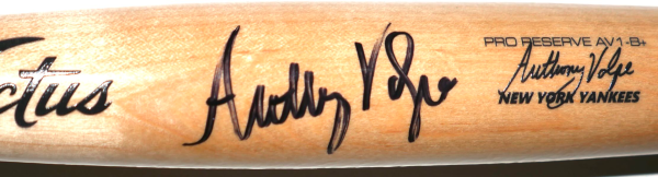 Anthony Volpe Signed NY Yankees Mini 18